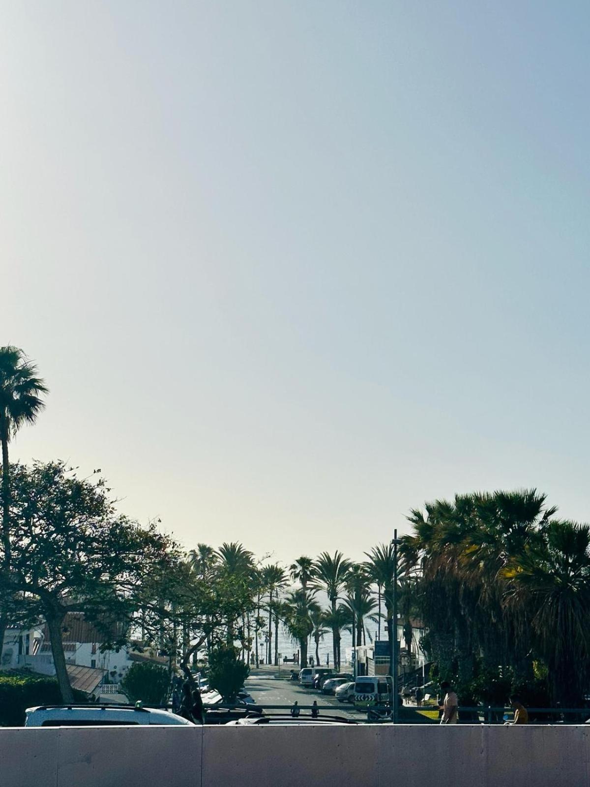 Sunny Sea View Apartment Center Of Las Americas 美洲海滩 外观 照片