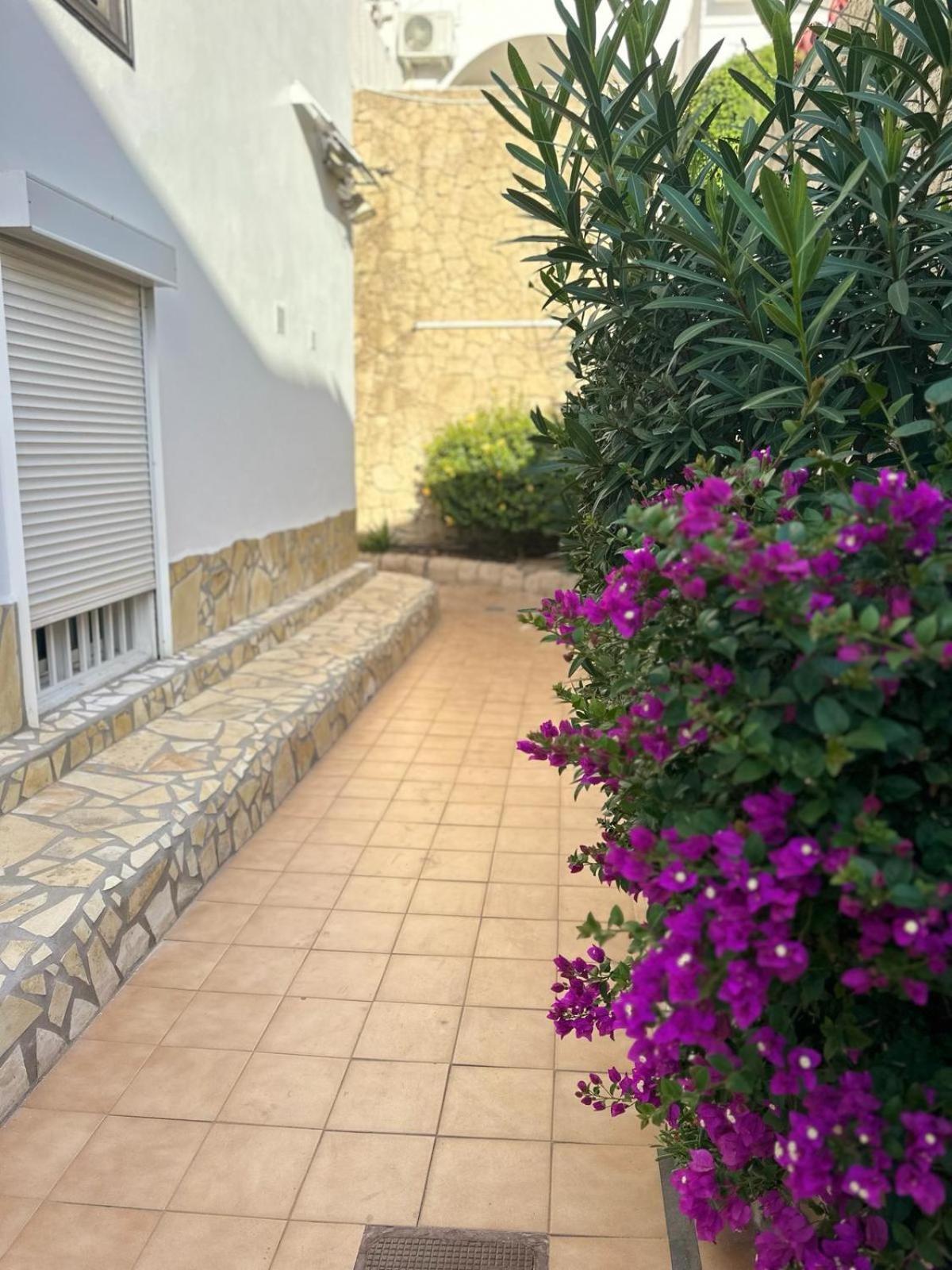 Sunny Sea View Apartment Center Of Las Americas 美洲海滩 外观 照片