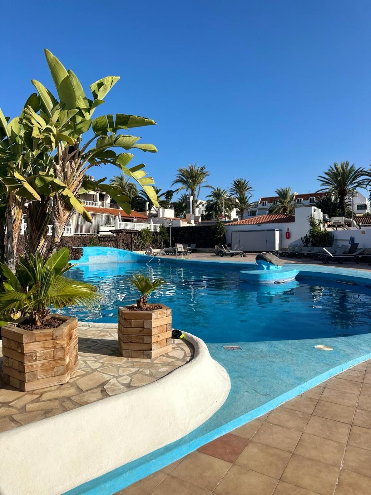 Sunny Sea View Apartment Center Of Las Americas 美洲海滩 外观 照片