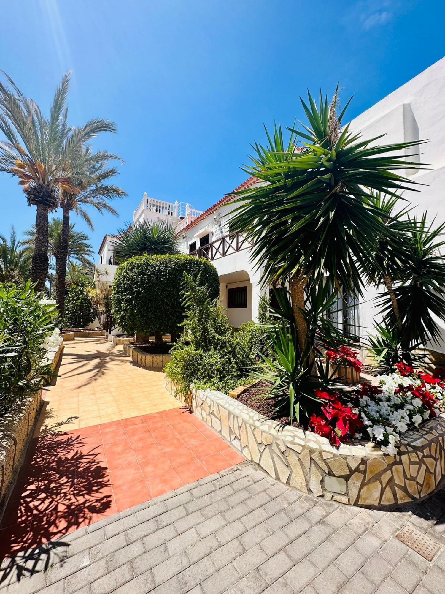 Sunny Sea View Apartment Center Of Las Americas 美洲海滩 外观 照片
