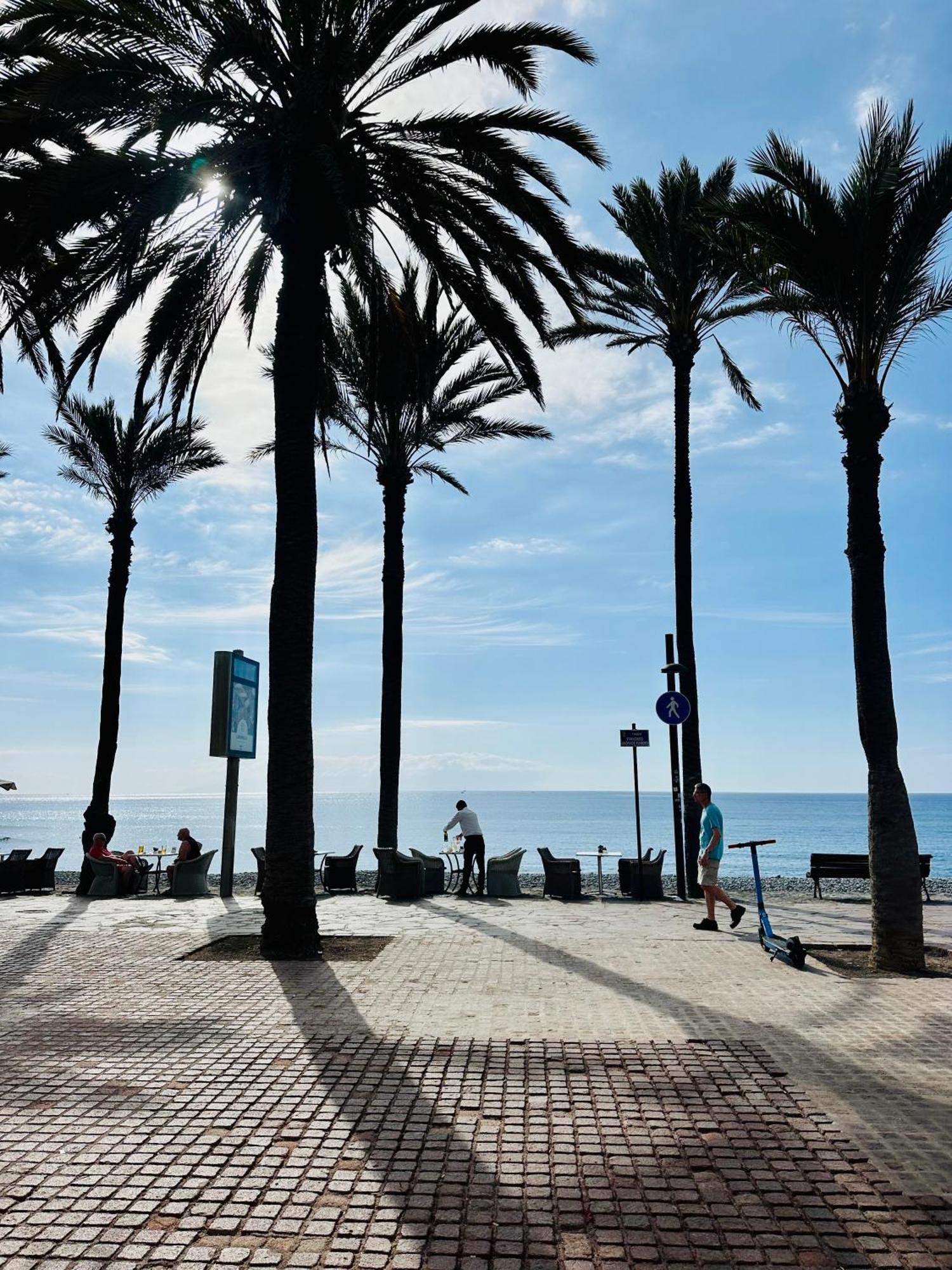Sunny Sea View Apartment Center Of Las Americas 美洲海滩 外观 照片